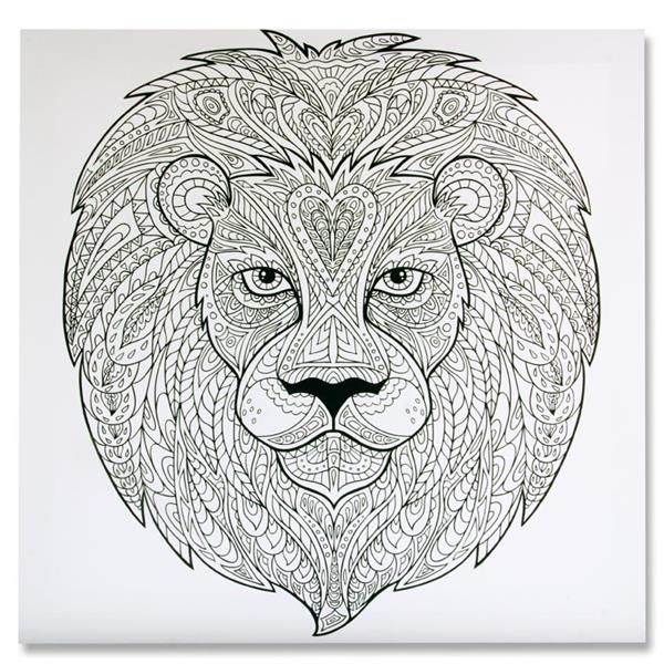 Icon Art 500x500mm Colour My Canvas - Lion