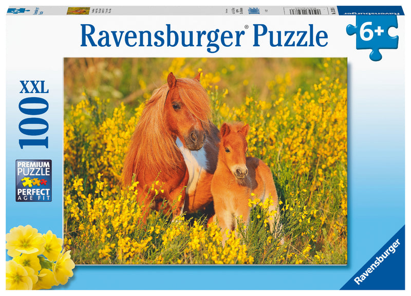 Shetland Pony 100 XXL Piece Jigsaw Puzzle