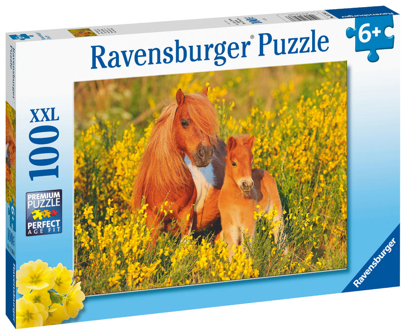 Shetland Pony 100 XXL Piece Jigsaw Puzzle